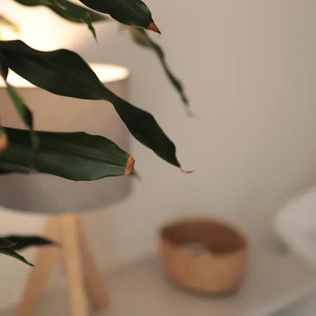 Luna Nuova Comfort & 3* Gallipolli