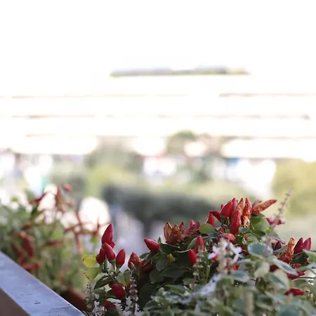 Luna Nuova Comfort & Pensionat