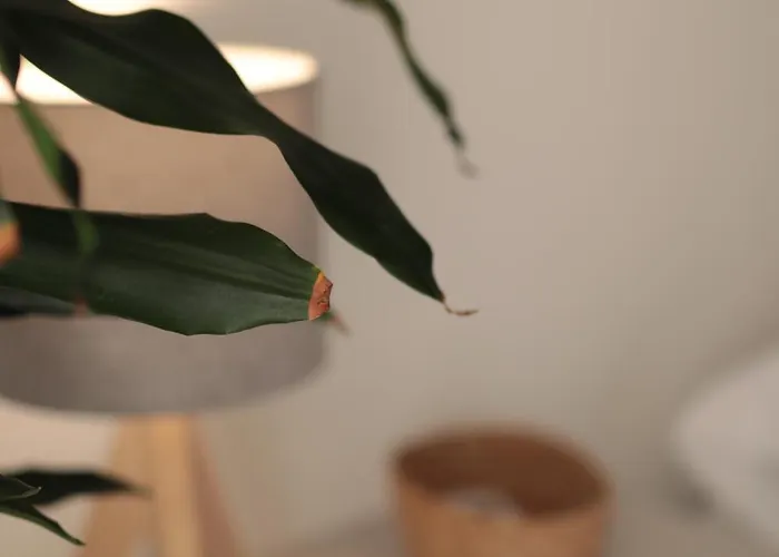 Luna Nuova Comfort & 3* Галлиполи