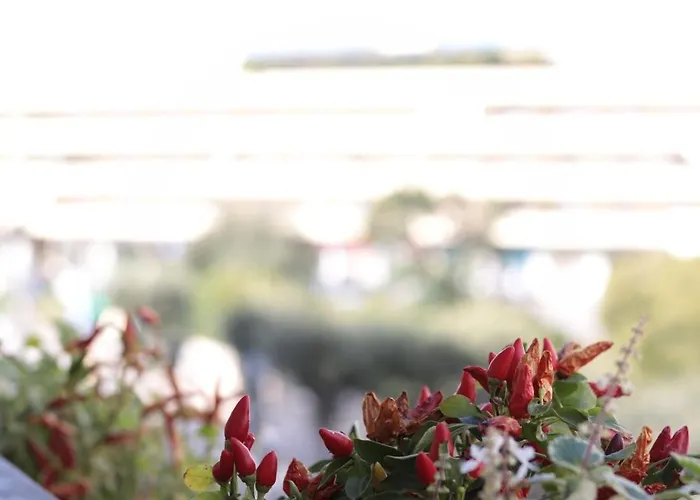 Luna Nuova Comfort & Гостевой дом